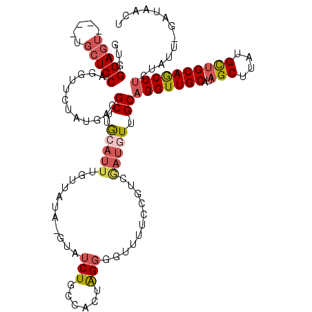 secondary structure