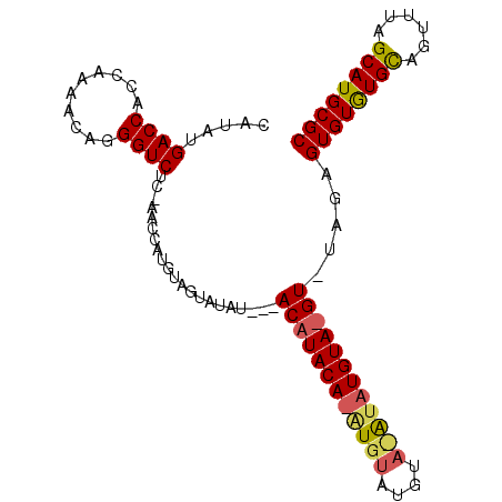 secondary structure
