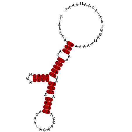 secondary structure