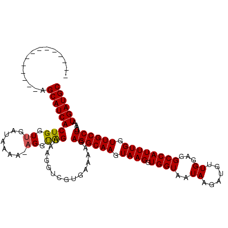 secondary structure