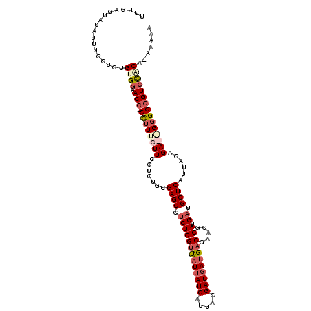 secondary structure