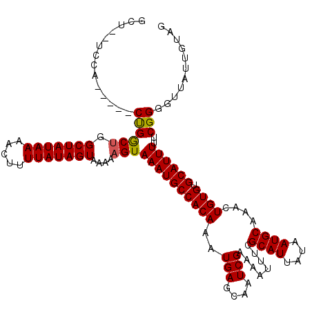 secondary structure