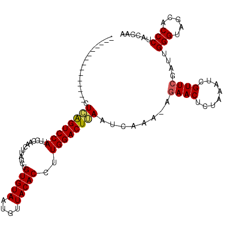 secondary structure
