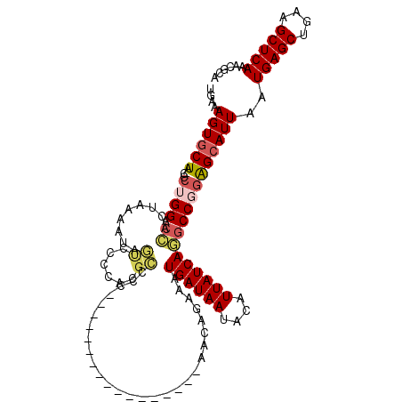 secondary structure