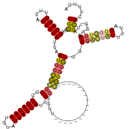 secondary structure