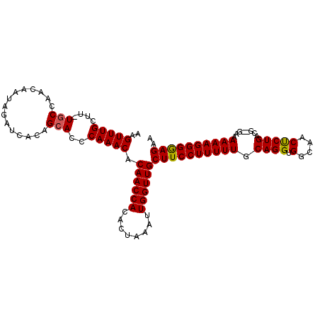 secondary structure