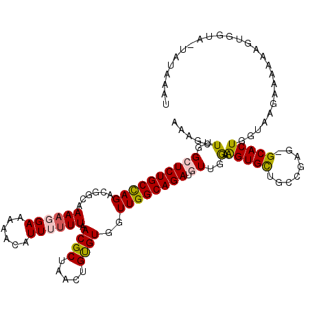 secondary structure