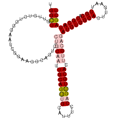 secondary structure