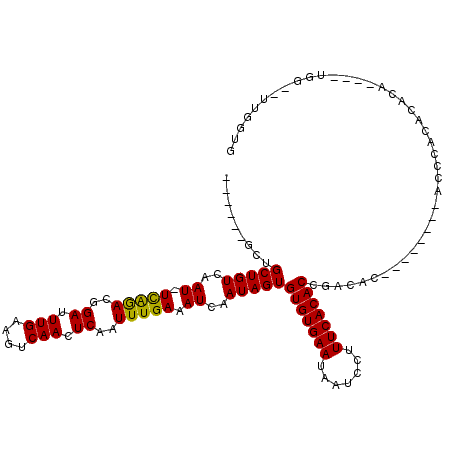 secondary structure