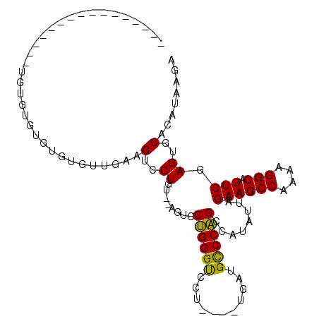 secondary structure