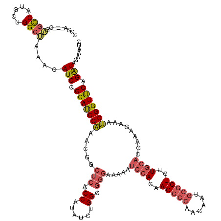 secondary structure