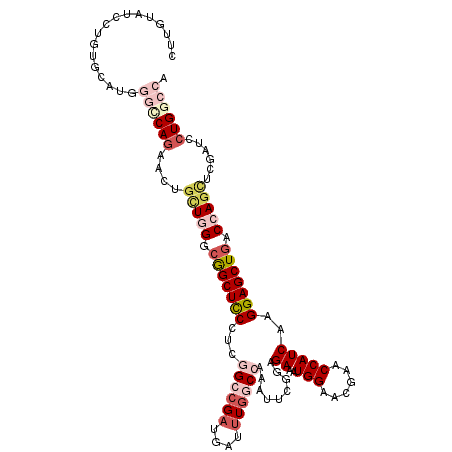 secondary structure