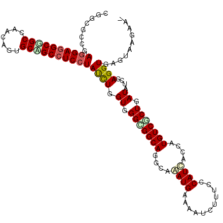 secondary structure