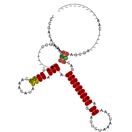 secondary structure