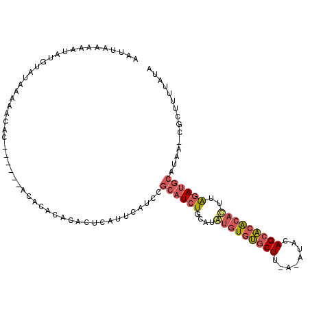 secondary structure