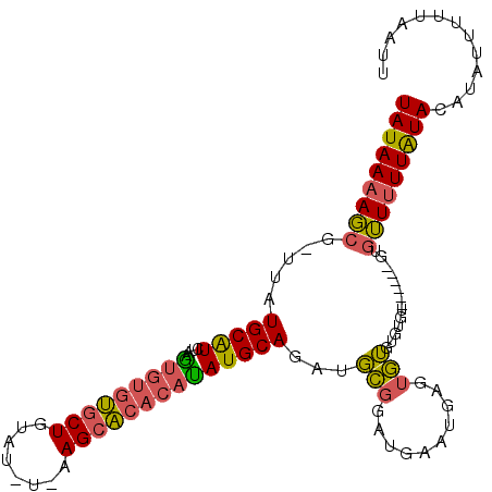 secondary structure