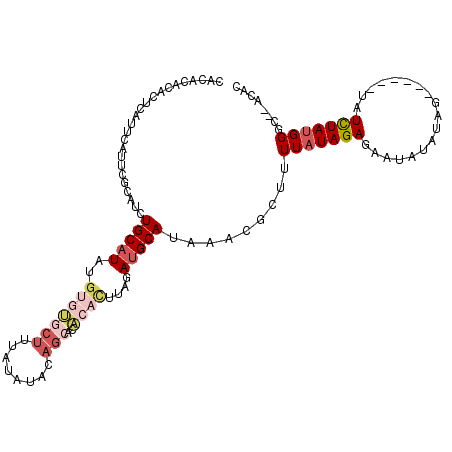 secondary structure