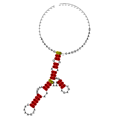 secondary structure