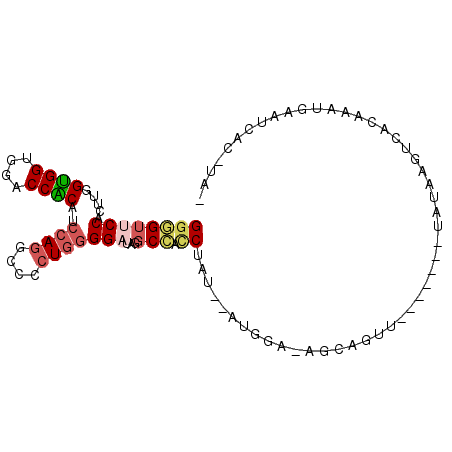 secondary structure