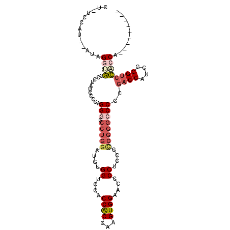 secondary structure