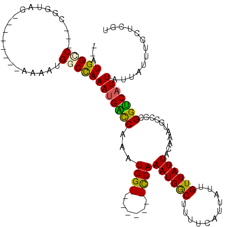 secondary structure