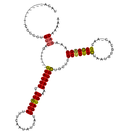 secondary structure