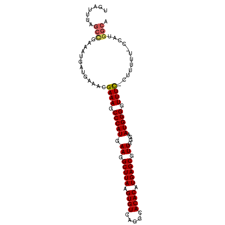 secondary structure