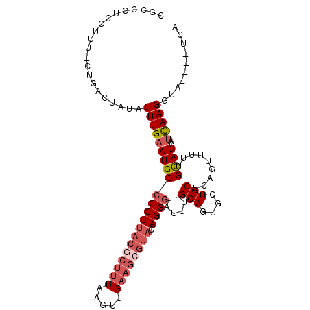 secondary structure