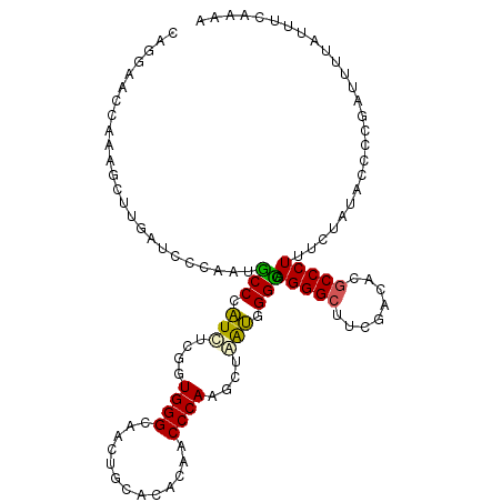 secondary structure
