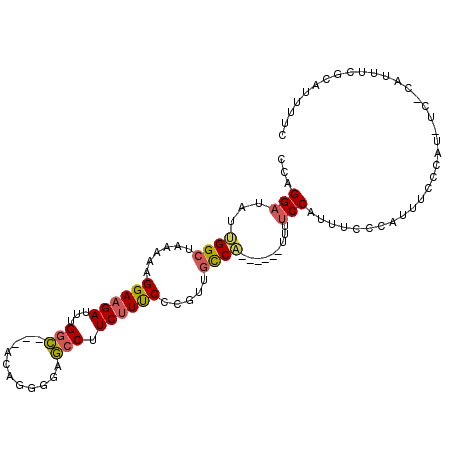 secondary structure