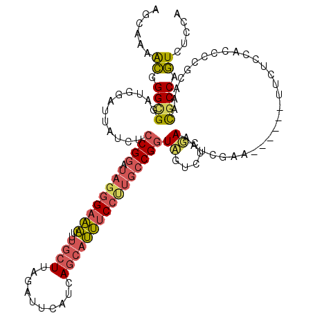 secondary structure