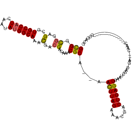 secondary structure