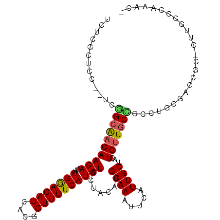 secondary structure