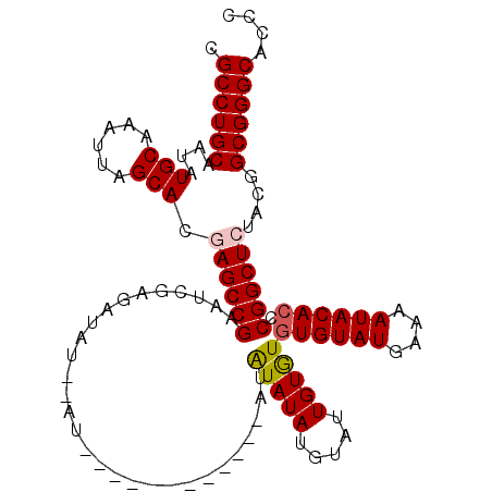 secondary structure