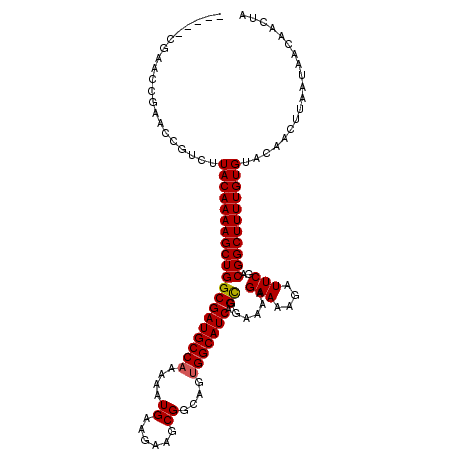 secondary structure
