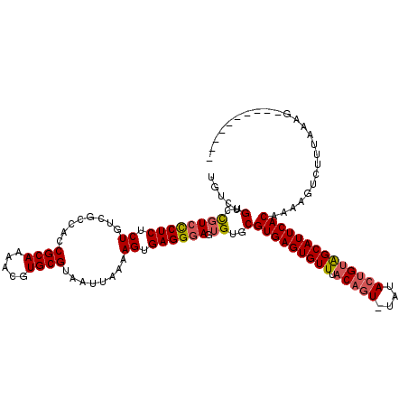 secondary structure