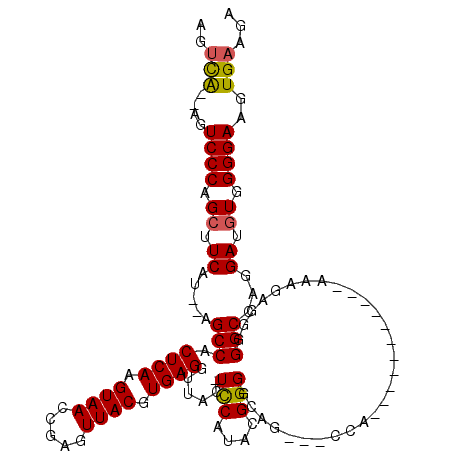secondary structure