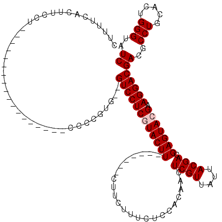 secondary structure