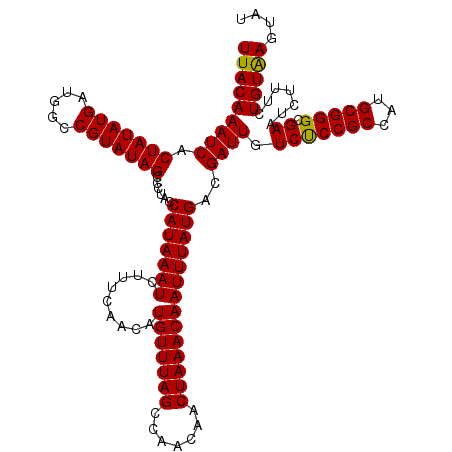 secondary structure