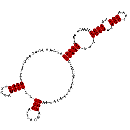 secondary structure