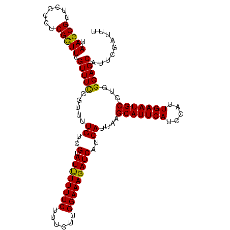 secondary structure