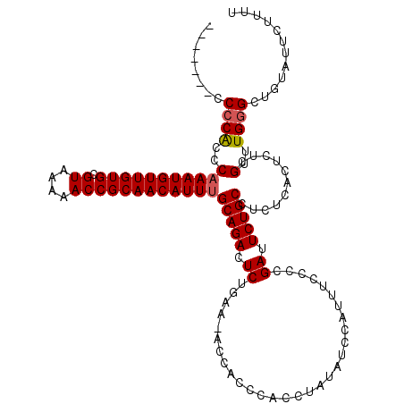 secondary structure