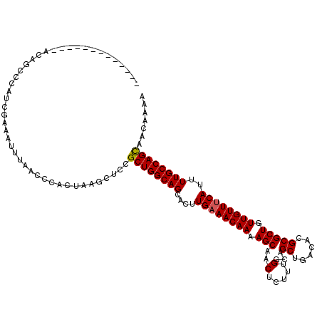 secondary structure