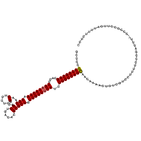 secondary structure