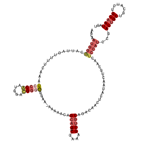 secondary structure