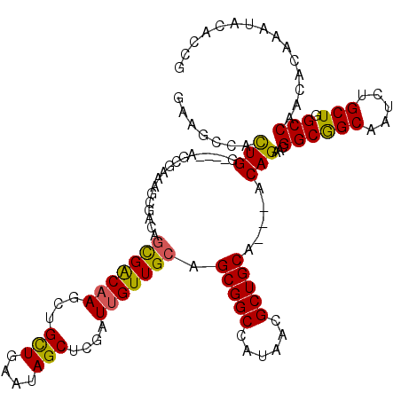 secondary structure