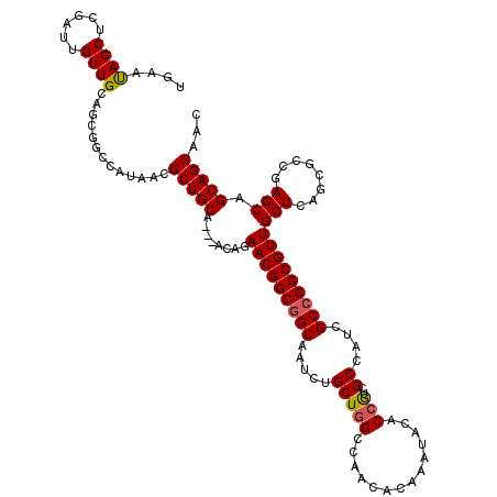 secondary structure