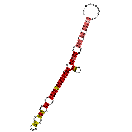 secondary structure
