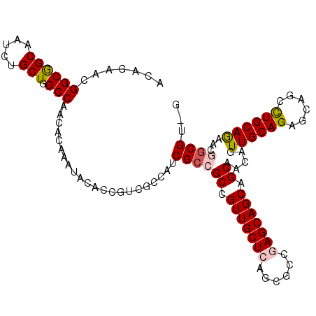 secondary structure
