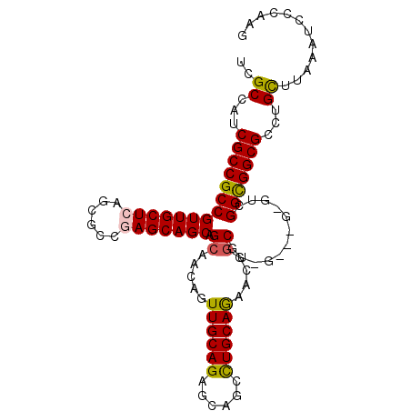 secondary structure